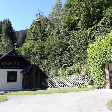 Umundumhuette Villa Katsch an der Mur Bagian luar foto