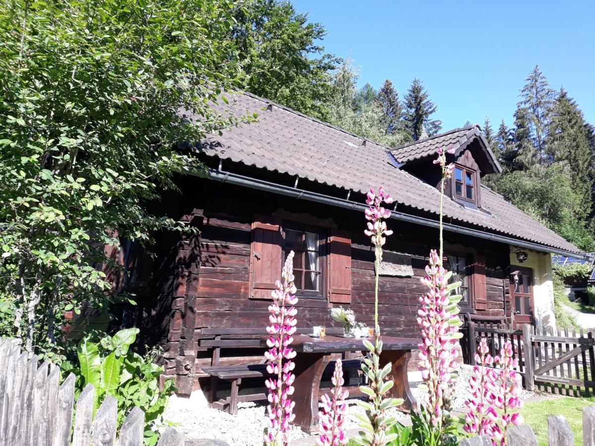 Umundumhuette Villa Katsch an der Mur Bagian luar foto