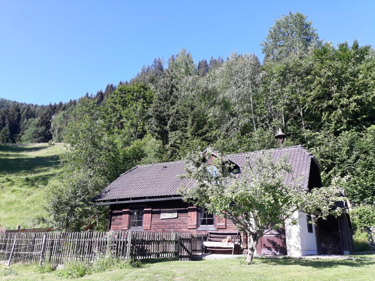 Umundumhuette Villa Katsch an der Mur Bagian luar foto