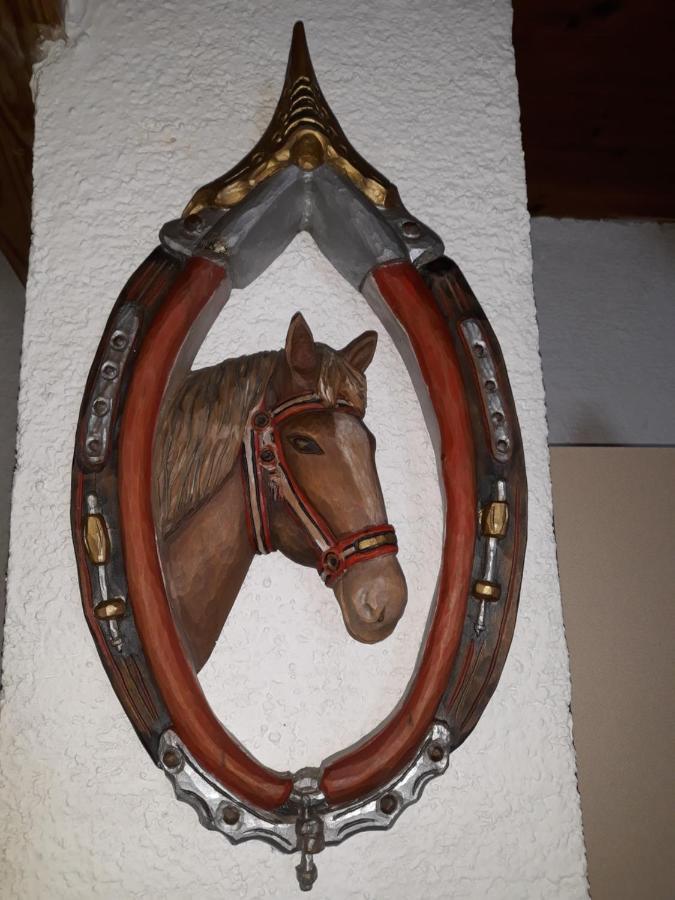 Umundumhuette Villa Katsch an der Mur Bagian luar foto