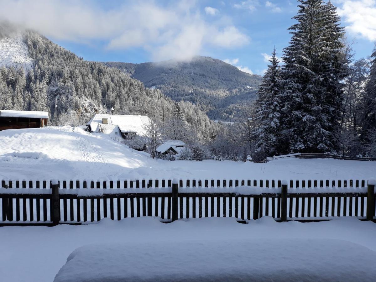 Umundumhuette Villa Katsch an der Mur Bagian luar foto