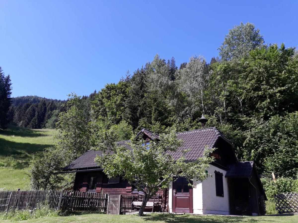 Umundumhuette Villa Katsch an der Mur Bagian luar foto