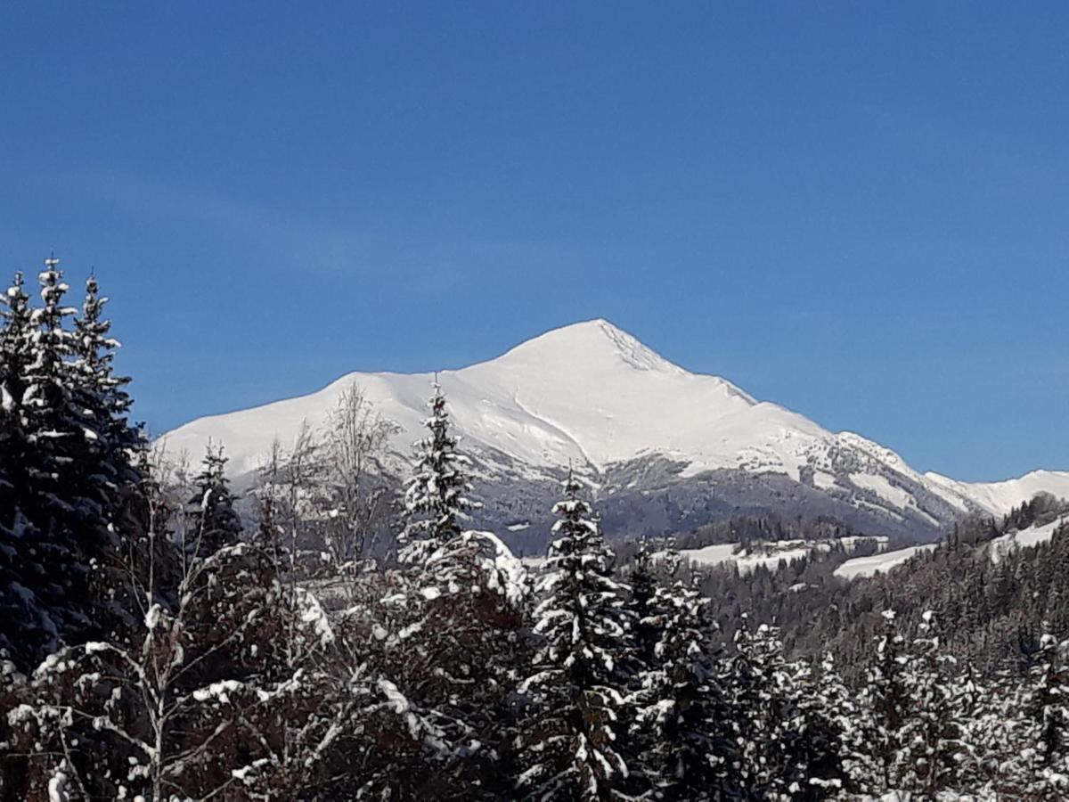 Umundumhuette Villa Katsch an der Mur Bagian luar foto