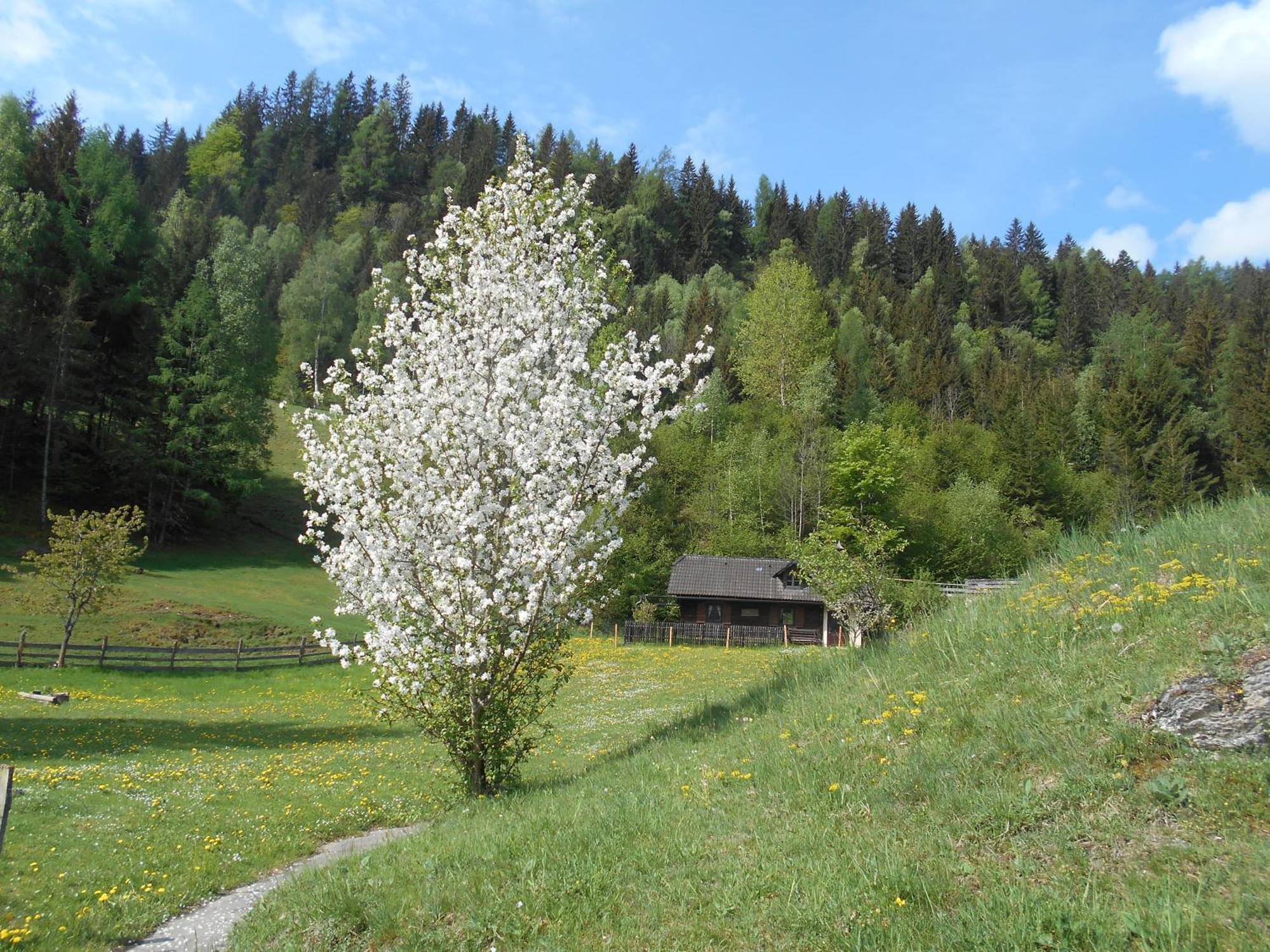 Umundumhuette Villa Katsch an der Mur Bagian luar foto