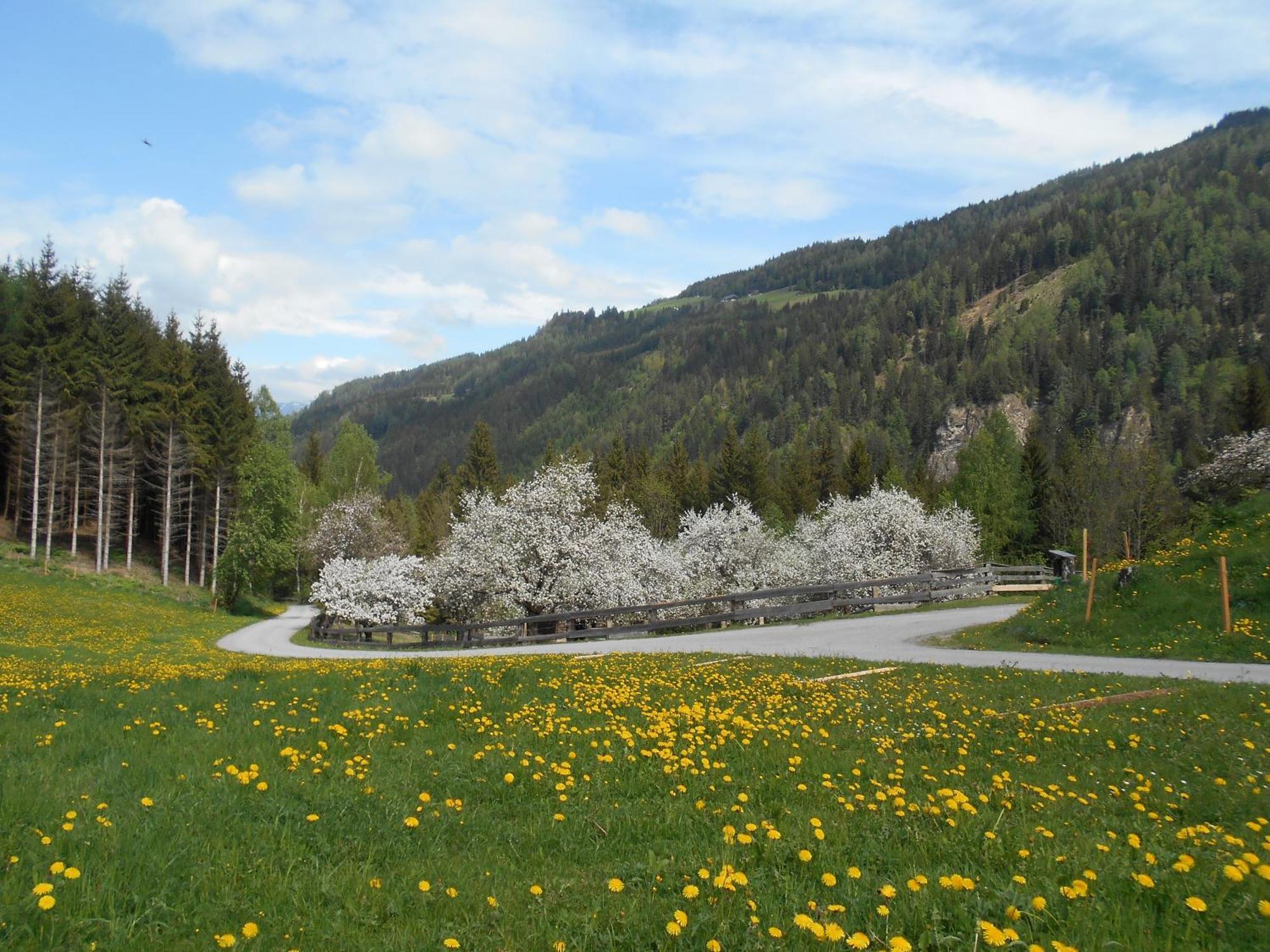 Umundumhuette Villa Katsch an der Mur Bagian luar foto