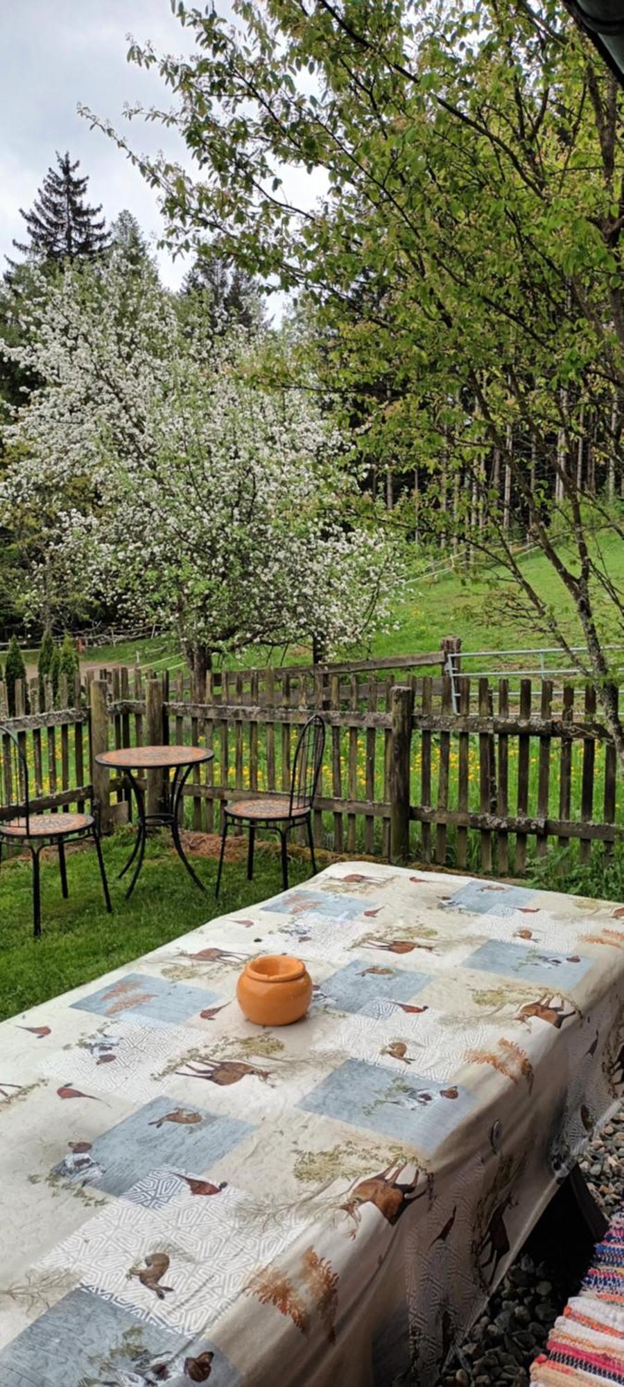 Umundumhuette Villa Katsch an der Mur Bagian luar foto