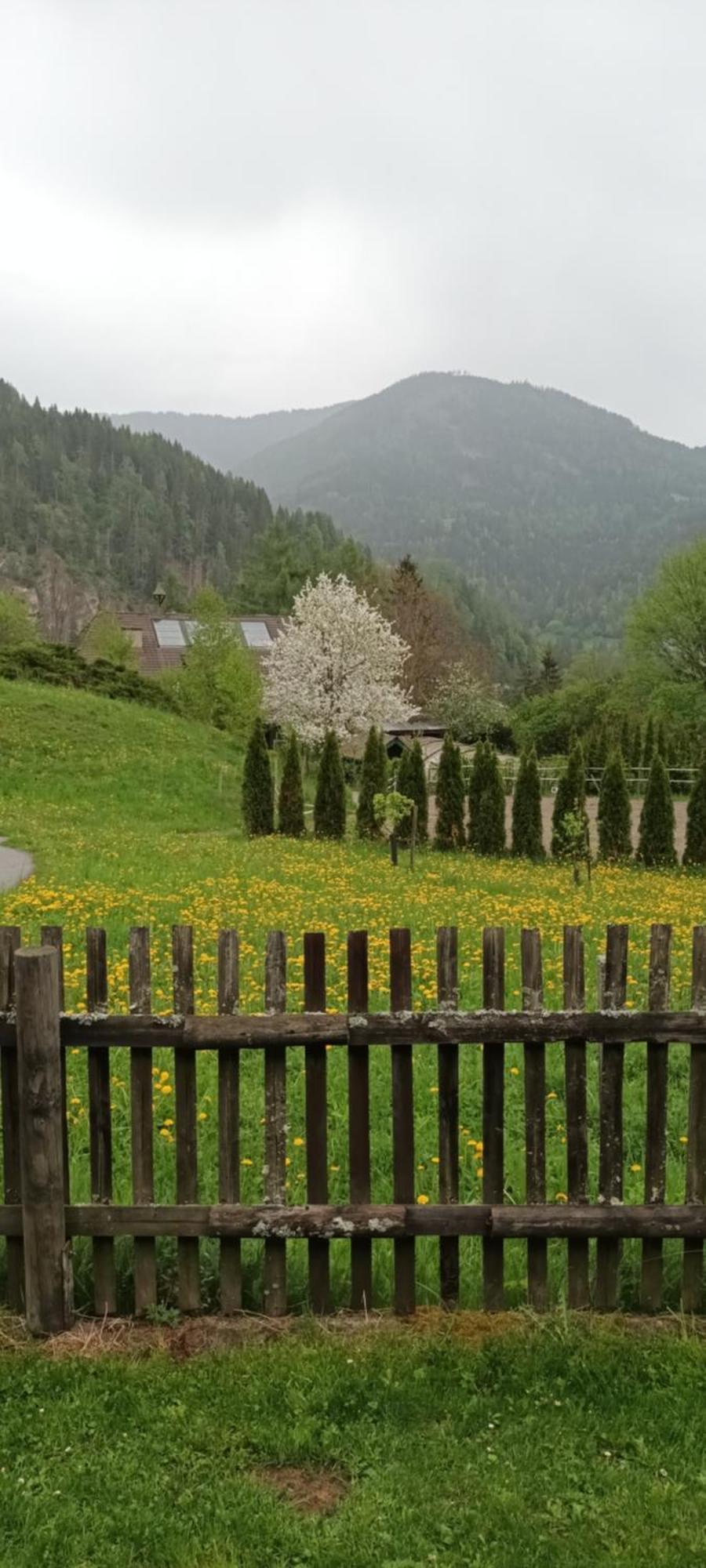 Umundumhuette Villa Katsch an der Mur Bagian luar foto