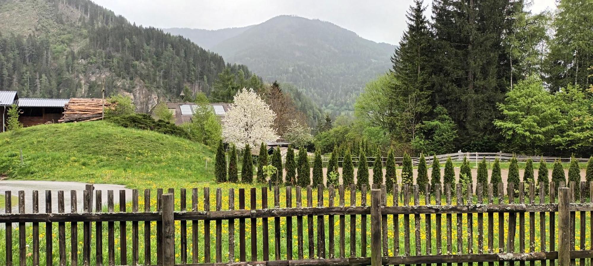 Umundumhuette Villa Katsch an der Mur Bagian luar foto