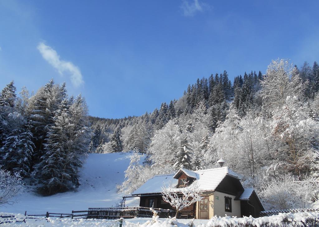 Umundumhuette Villa Katsch an der Mur Bagian luar foto