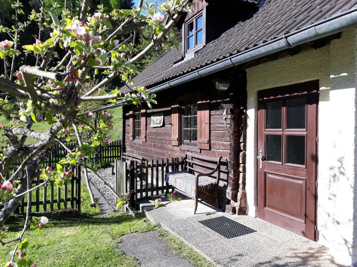 Umundumhuette Villa Katsch an der Mur Bagian luar foto