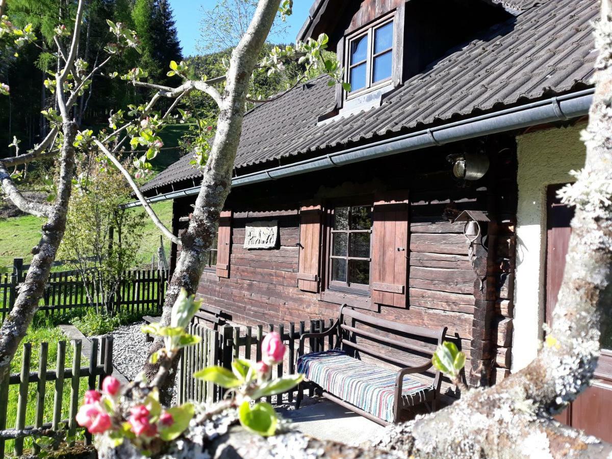 Umundumhuette Villa Katsch an der Mur Bagian luar foto